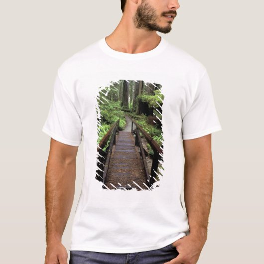 NA, USA, Kalifornien, Jedidiah Smith Redwoods T-Shirt (Vorderseite)