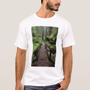 NA, USA, Kalifornien, Jedidiah Smith Redwoods T-Shirt