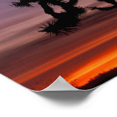 NA, USA, Kalifornien. Joshua Tree National Poster (Ecke)