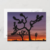 NA, USA, Kalifornien. Joshua Tree National Postkarte (Vorne/Hinten)