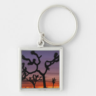 NA, USA, Kalifornien. Joshua Tree National Schlüsselanhänger