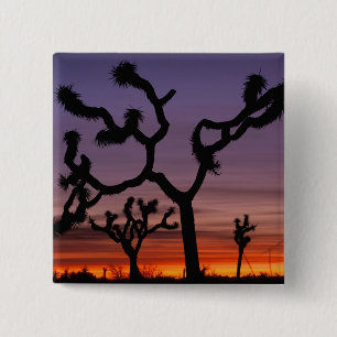NA, USA, Kalifornien. Joshua-Tree-Nationalpark Button