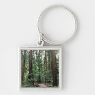NA, USA, Kalifornien, Marin County, Muir Woods Schlüsselanhänger