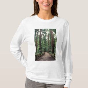 NA, USA, Kalifornien, Marin Landkreis, Muir Woods T-Shirt