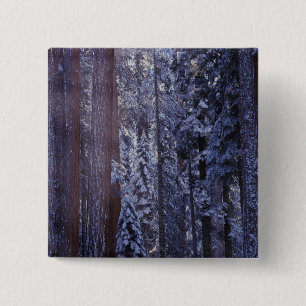 NA, USA, Kalifornien. Sequoia-Nationalpark2 Button