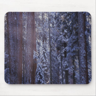 NA, USA, Kalifornien. Sequoia-Nationalpark. 2 Mousepad