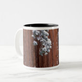 NA, USA, Kalifornien. Sequoia-Nationalpark Zweifarbige Tasse (Vorderseite Links)