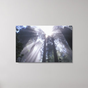 NA, USA, Kalifornien. Staat der Nordküste 2 Leinwanddruck