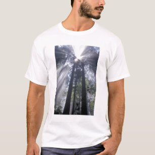 NA, USA, Kalifornien. Staat der Nordküste T-Shirt