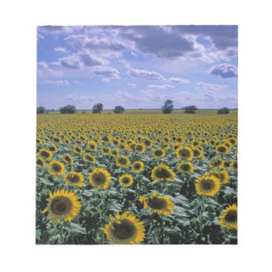 NA, USA, Kansas, Sonnenblumenanbau Notizblock