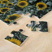 NA, USA, Kansas, Sonnenblumenernte Puzzle (Seite)