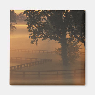 NA, USA, Kentucky. Nebeliger Sonnenaufgang in Kent Magnet