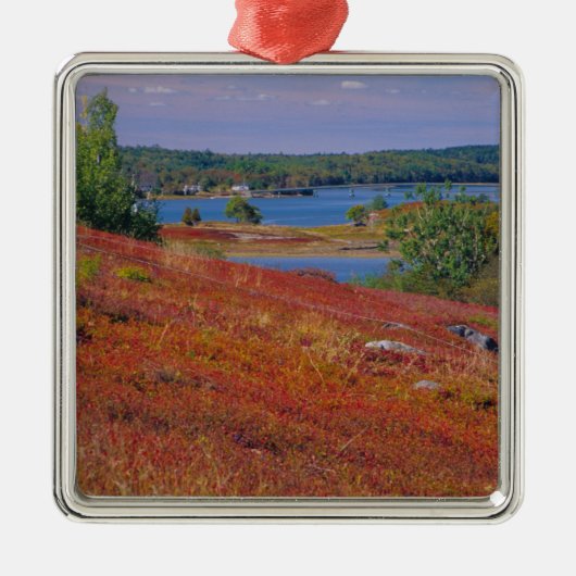 NA, USA, Maine. Blueberry Barrens. Silbernes Ornament (Vorne)