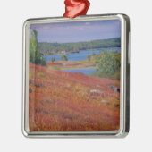 NA, USA, Maine. Blueberry Barrens. Silbernes Ornament (Links)