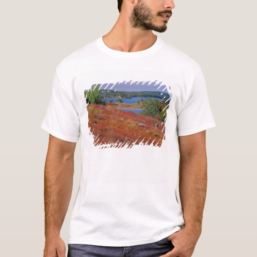 NA, USA, Maine. Blueberry Barrens. T-Shirt (Vorderseite)