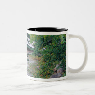 NA, USA, Maine.  Brücke über einen Teich in Somesv Zweifarbige Tasse