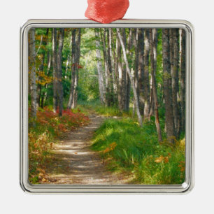 NA, USA, Maine.  Jessup-Pfad im Acadia National Ornament Aus Metall