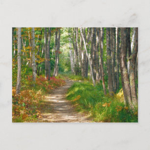 NA, USA, Maine. Jessup-Pfad in Acadia National Postkarte
