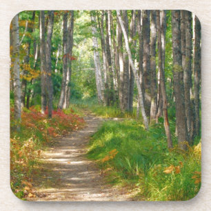 NA, USA, Maine. Jessup-Pfad in Acadia National Untersetzer