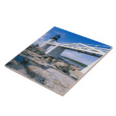 NA, USA, Maine, Port Clyde.  Marshallpunkt Fliese (Seite)