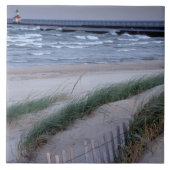 NA, USA, Michigan, Berrien Landkreis, St. Joseph, Fliese (Vorderseite)