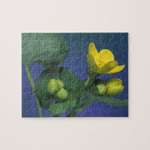 NA, USA, Michigan, Rochester Hills. Marsch Puzzle