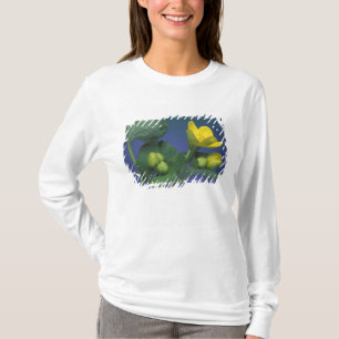 NA, USA, Michigan, Rochester Hills. Sumpf T-Shirt