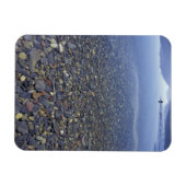 NA, USA, Montana, Glacier NP Rocks in Lake Magnet (Horizontal)