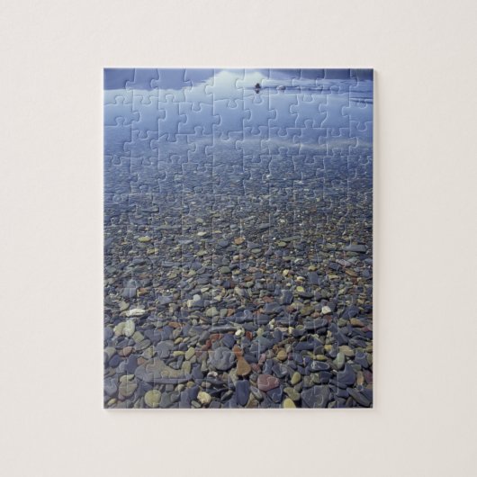 NA, USA, Montana, Glacier NP Rocks in Lake Puzzle (Vertikal)