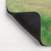 NA, USA, NE. Grasland bei Ogallala mit Mousepad (Ecke)