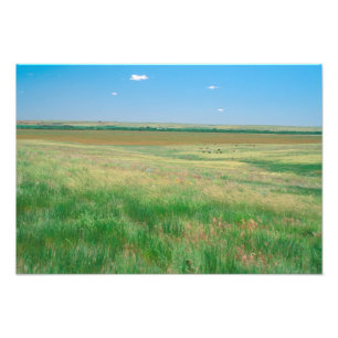NA, USA, NE. Graslandschaften bei Ogallala mit Fotodruck