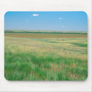 NA, USA, NE. Graslandschaften bei Ogallala mit Mousepad