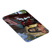 NA, USA, New Mexico, Santa Fe. Magnet (Rechte Seite)