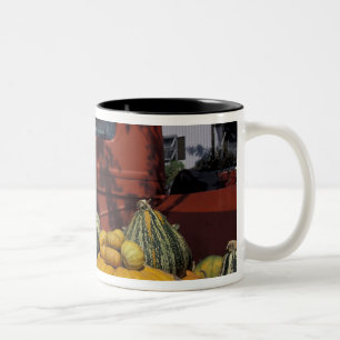 NA, USA, New Mexico, Taos. Chile Stand. Zweifarbige Tasse