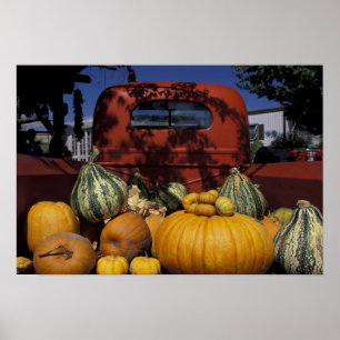 NA, USA, New Mexico, Taos. Chile steht. Poster