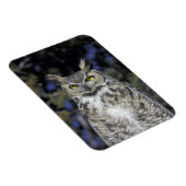 NA, USA, New Mexico, Wildlife West Nature Park Magnet (Rechte Seite)