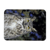 NA, USA, New Mexico, Wildlife West Nature Park Magnet (Horizontal)