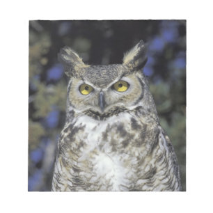 NA, USA, New Mexico, Wildlife West Nature Park Notizblock