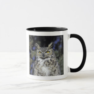 NA, USA, New Mexico, Wildlife West Nature Park Tasse
