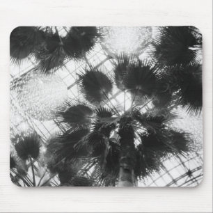 NA, USA, New York, New York City. Palmen in Mousepad
