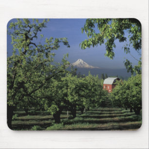 NA, USA, Oregon, bei Hood River Mt. Hood mit Mousepad