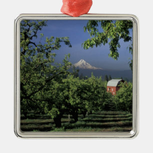 NA, USA, Oregon, bei Hood River Mt. Hood mit Ornament Aus Metall