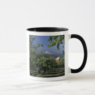 NA, USA, Oregon, bei Hood River Mt. Hood mit Tasse