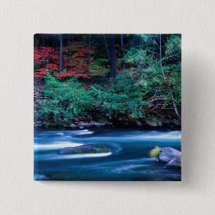 NA, USA, Oregon, Fall Foliage on North Umpquah Button