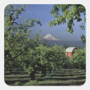 NA, USA, Oregon, nähe Hood River Hood with Quadratischer Aufkleber