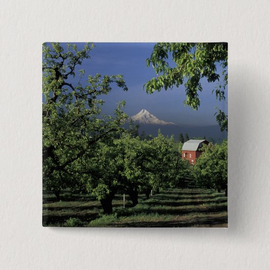 Na, USA, Oregon, nahe Hood River Mt. Haube mit Button (Vorderseite)