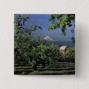 Na, USA, Oregon, nahe Hood River Mt. Haube mit Button