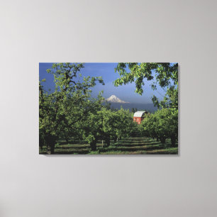 Na, USA, Oregon, nahe Hood River Mt. Haube mit Leinwanddruck