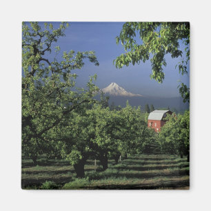 Na, USA, Oregon, nahe Hood River Mt. Haube mit Magnet