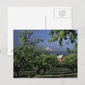 Na, USA, Oregon, nahe Hood River Mt. Haube mit Postkarte (Vorne/Hinten)